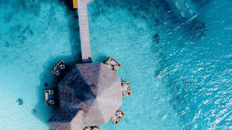 Travel Insurance Benefits on Credit Cards: What's Actually Covered?